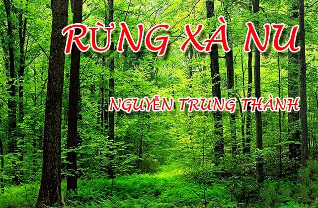 Ôn tập môn văn: Rừng Xà Nu - Nguyễn Trung Thành - P3 - Hình tượng con người Tây Nguyên
