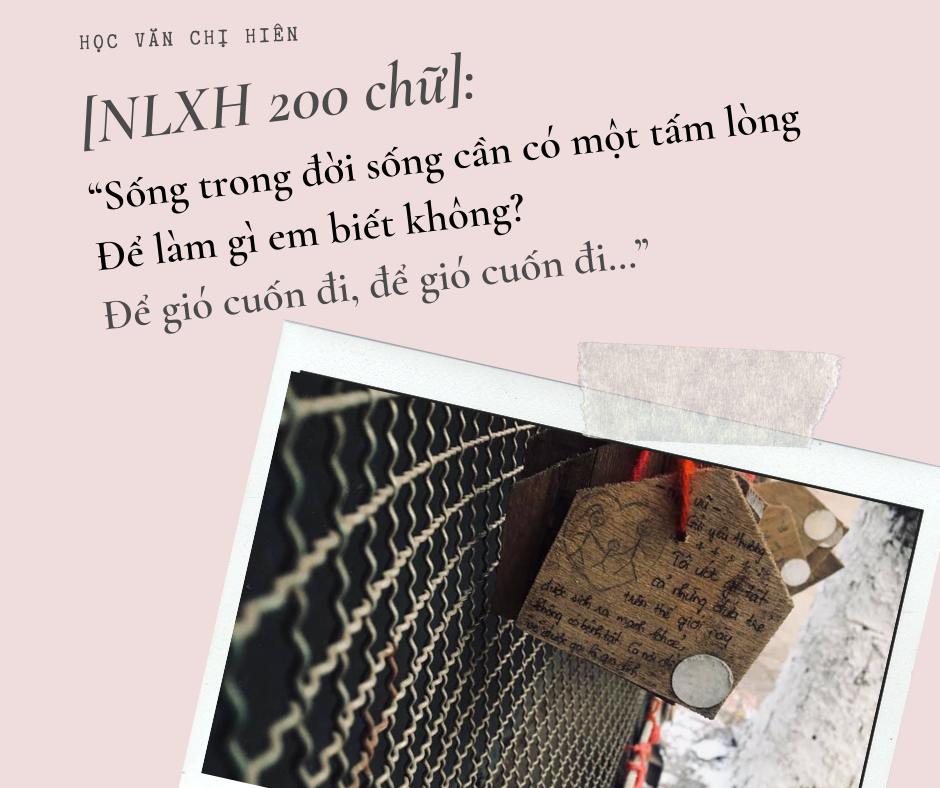 Viết đoạn văn khoảng 200 từ nêu cảm nhận của anh chị về thông điệp được truyền tải qua những câu hát của Trịnh Công Sơn